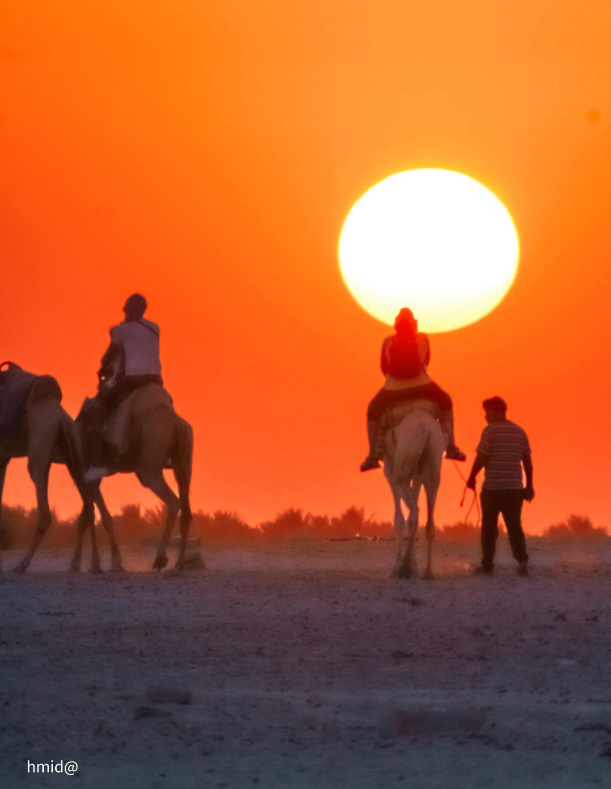 3-Day Sahara Tour: Tataouine, Ksar Ghilane, Tozeur & Sabria Desert Camp - 3