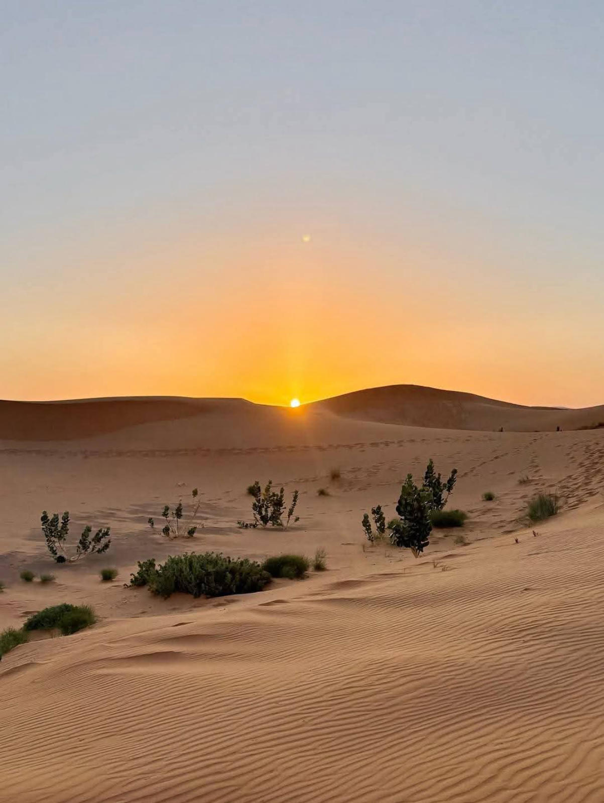2-Day Sahara Desert Tour Sabria – Ksar Ghilane Oasis Experience - 1